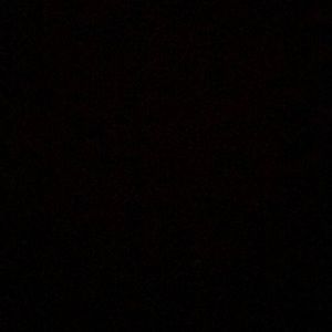 Meet your Posher, Demetrius